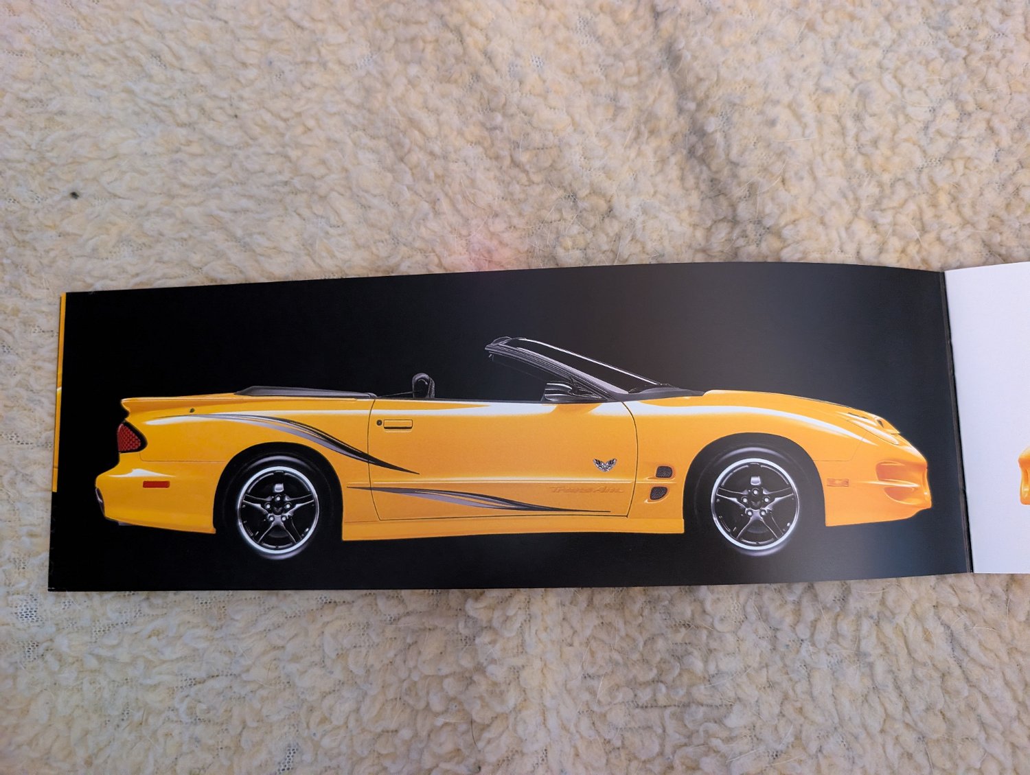 2002 Pontiac Firebird Trans Am - Photo 191