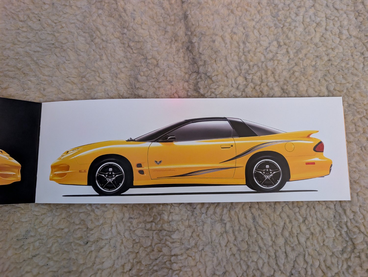 2002 Pontiac Firebird Trans Am - Photo 188