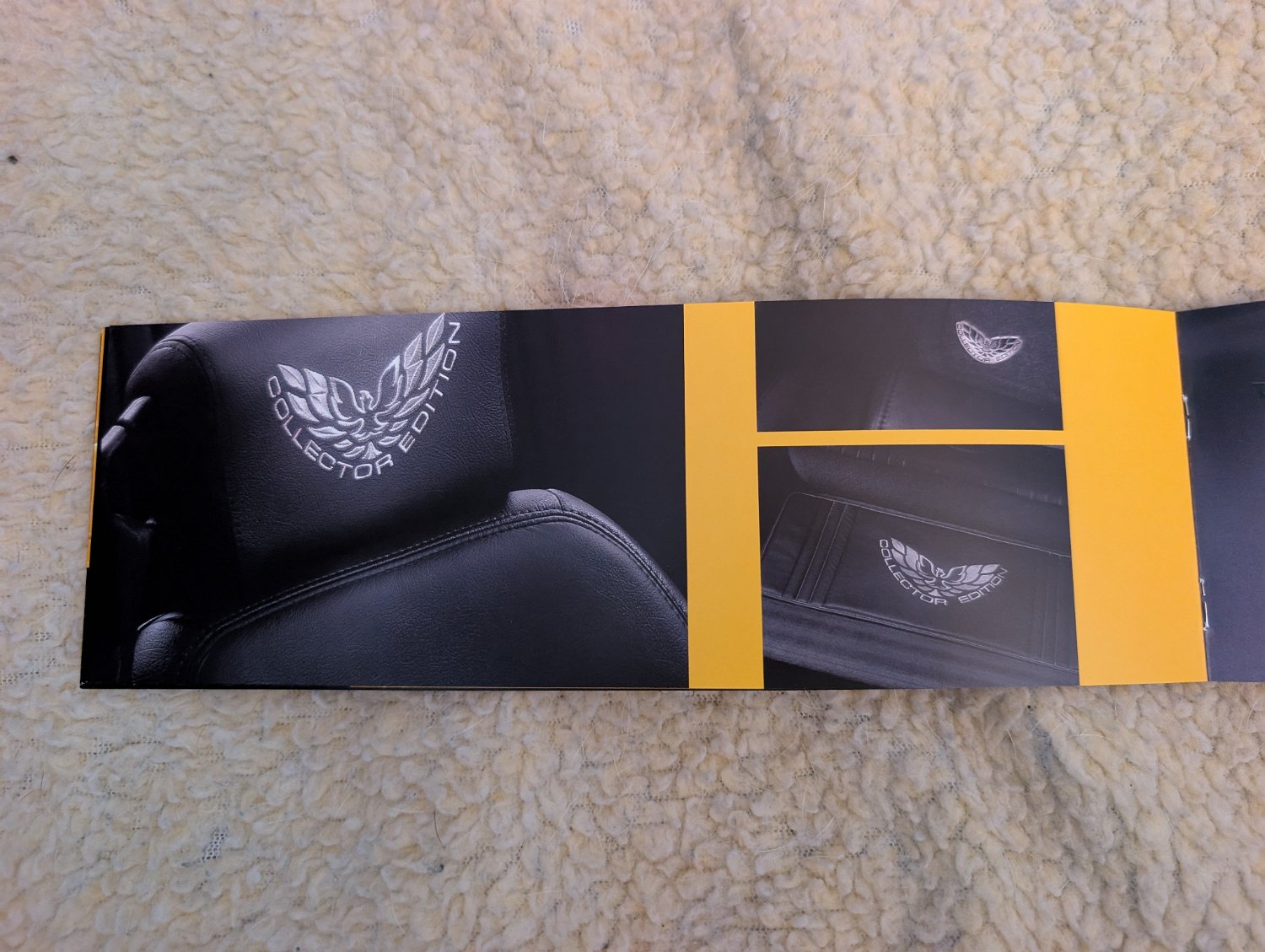 2002 Pontiac Firebird Trans Am - Photo 199