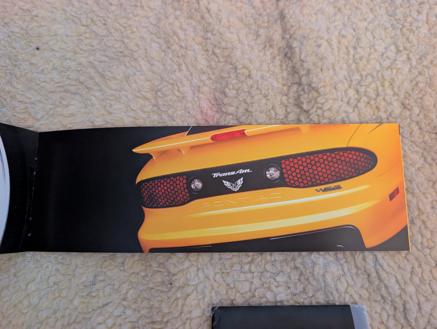 2002 Pontiac Firebird Trans Am - Photo 202