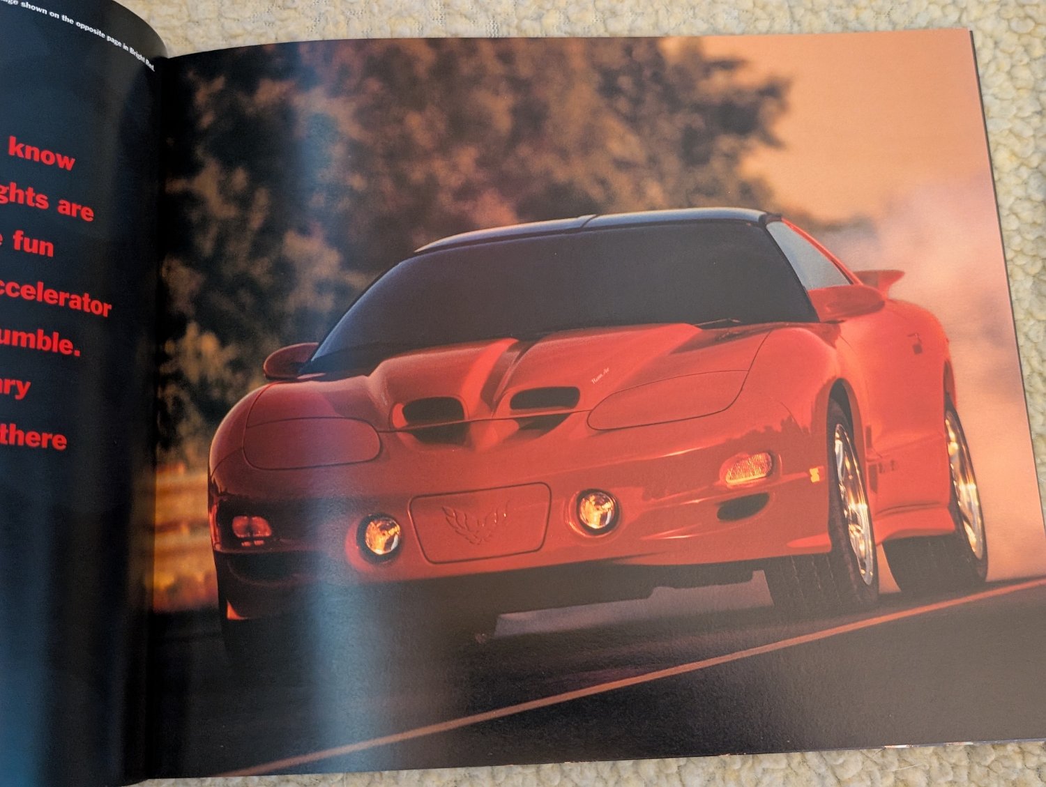 2002 Pontiac Firebird Trans Am - Photo 228