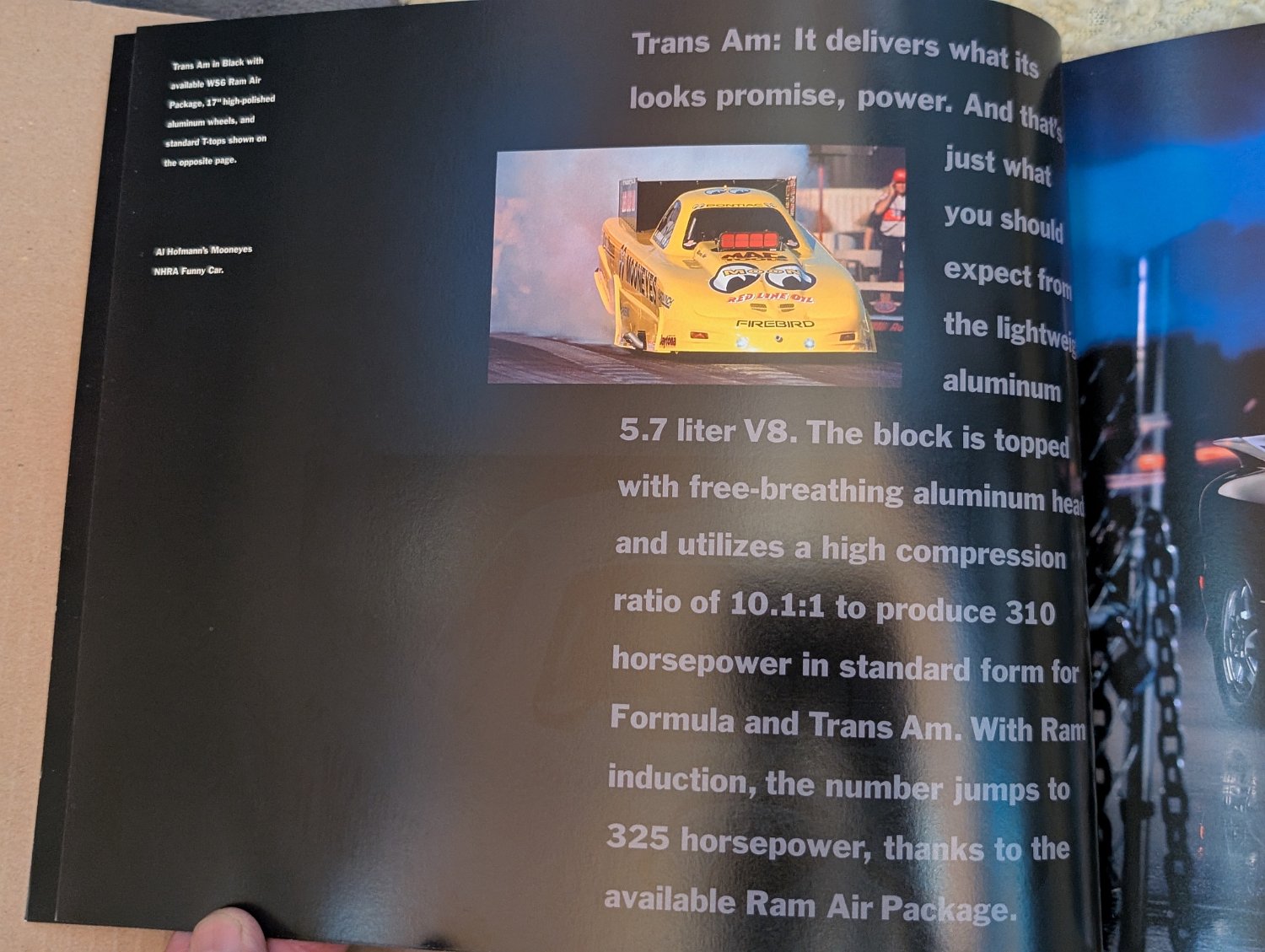 2002 Pontiac Firebird Trans Am - Photo 231