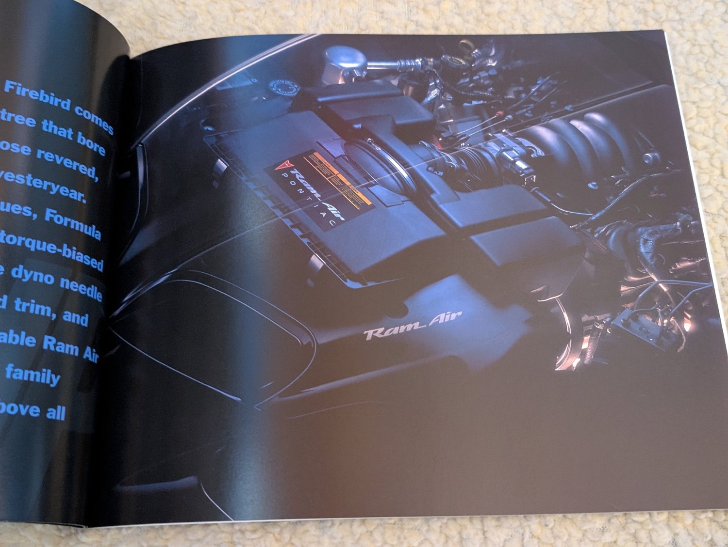2002 Pontiac Firebird Trans Am - Photo 224