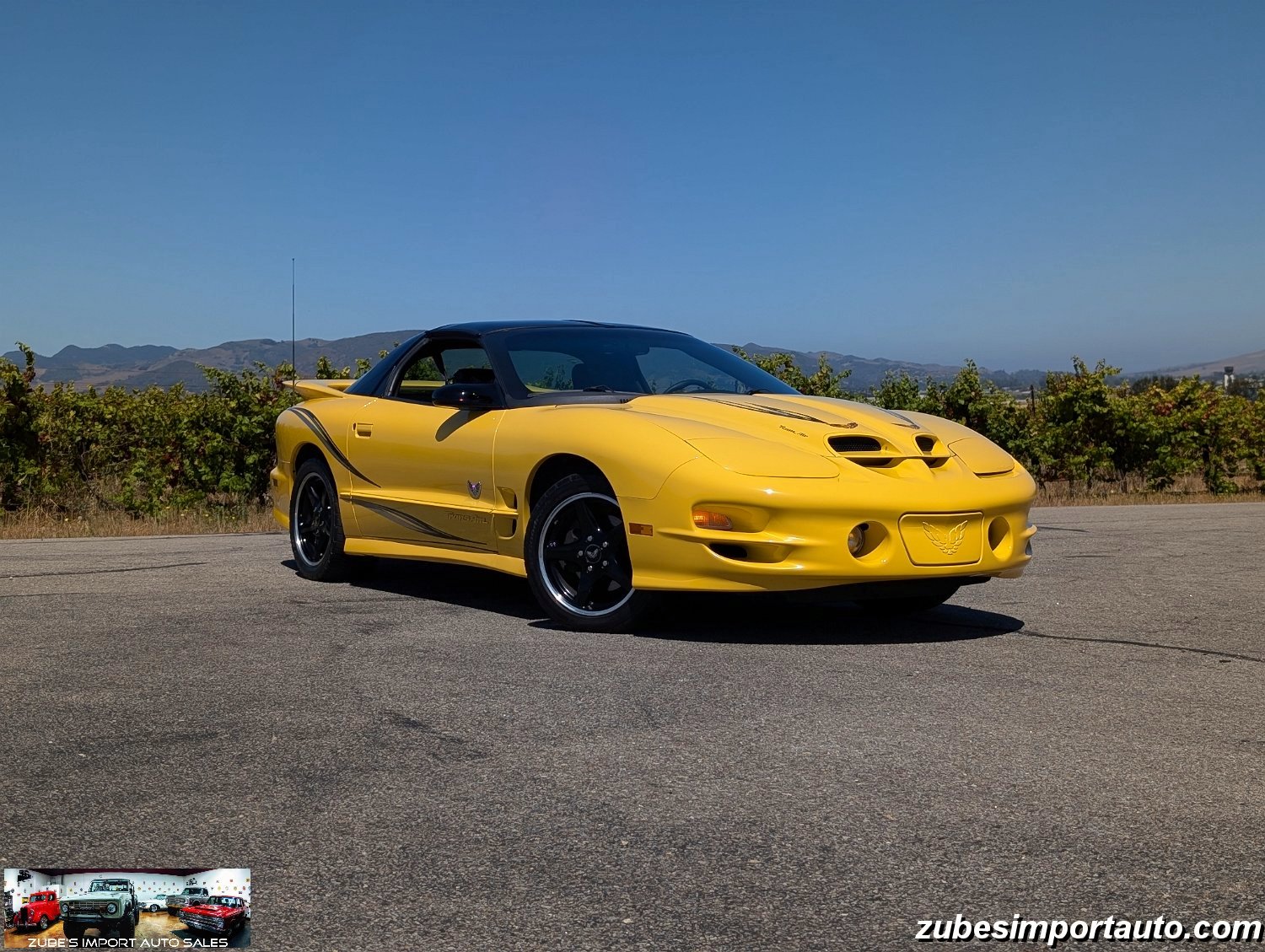 2002 Pontiac Firebird
