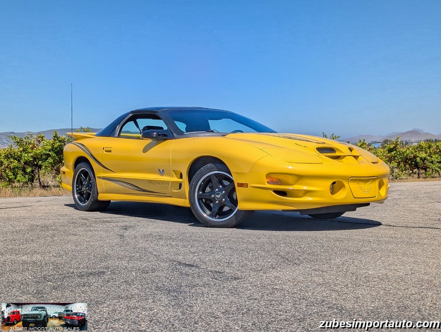 2002 Pontiac Firebird Trans Am - Photo 2
