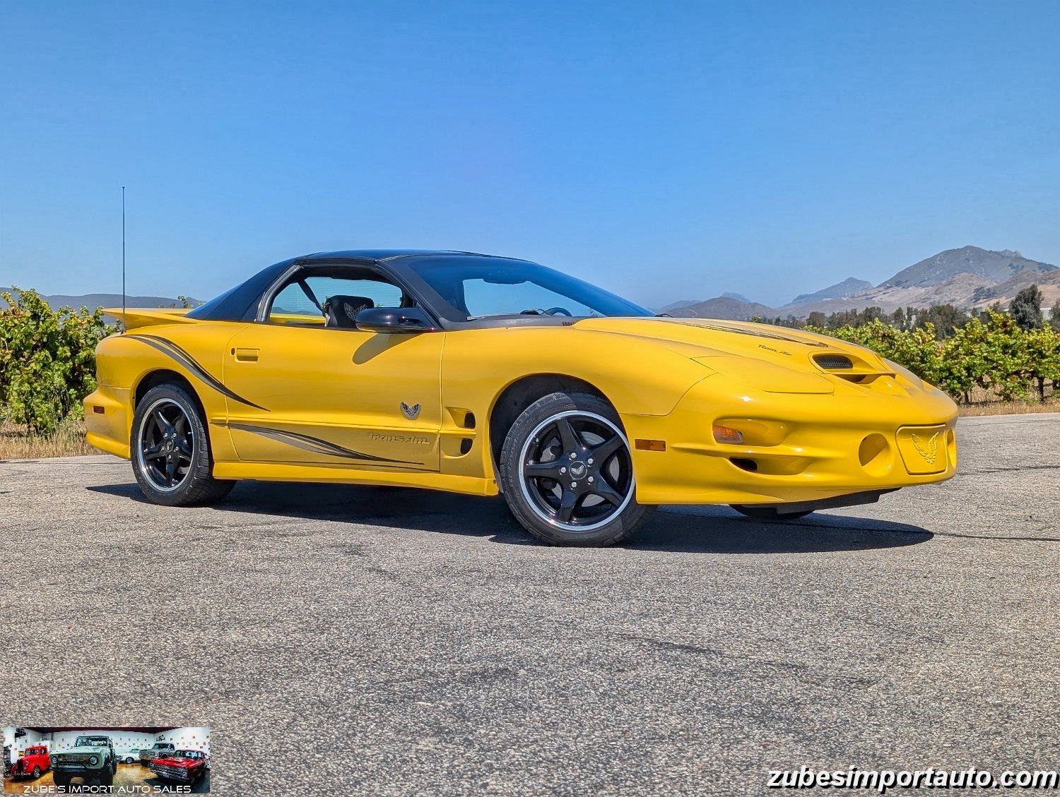 2002 Pontiac Firebird Trans Am - Photo 3
