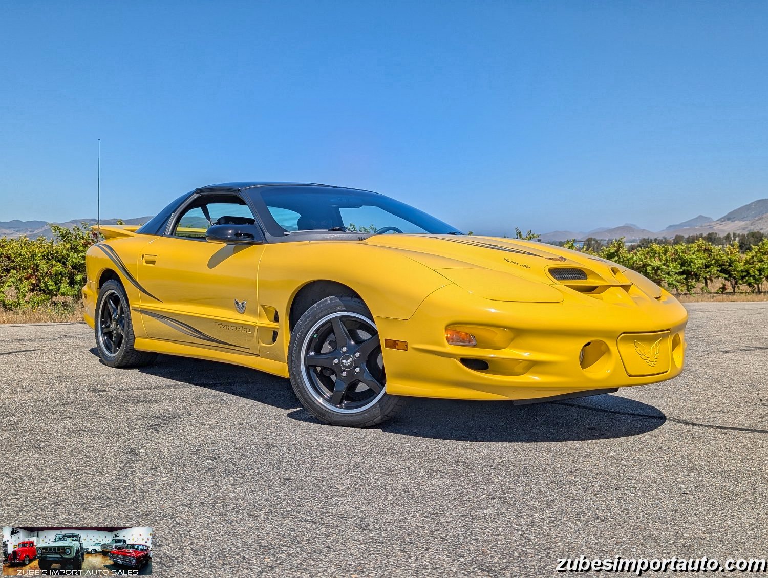 2002 Pontiac Firebird Trans Am - Photo 4