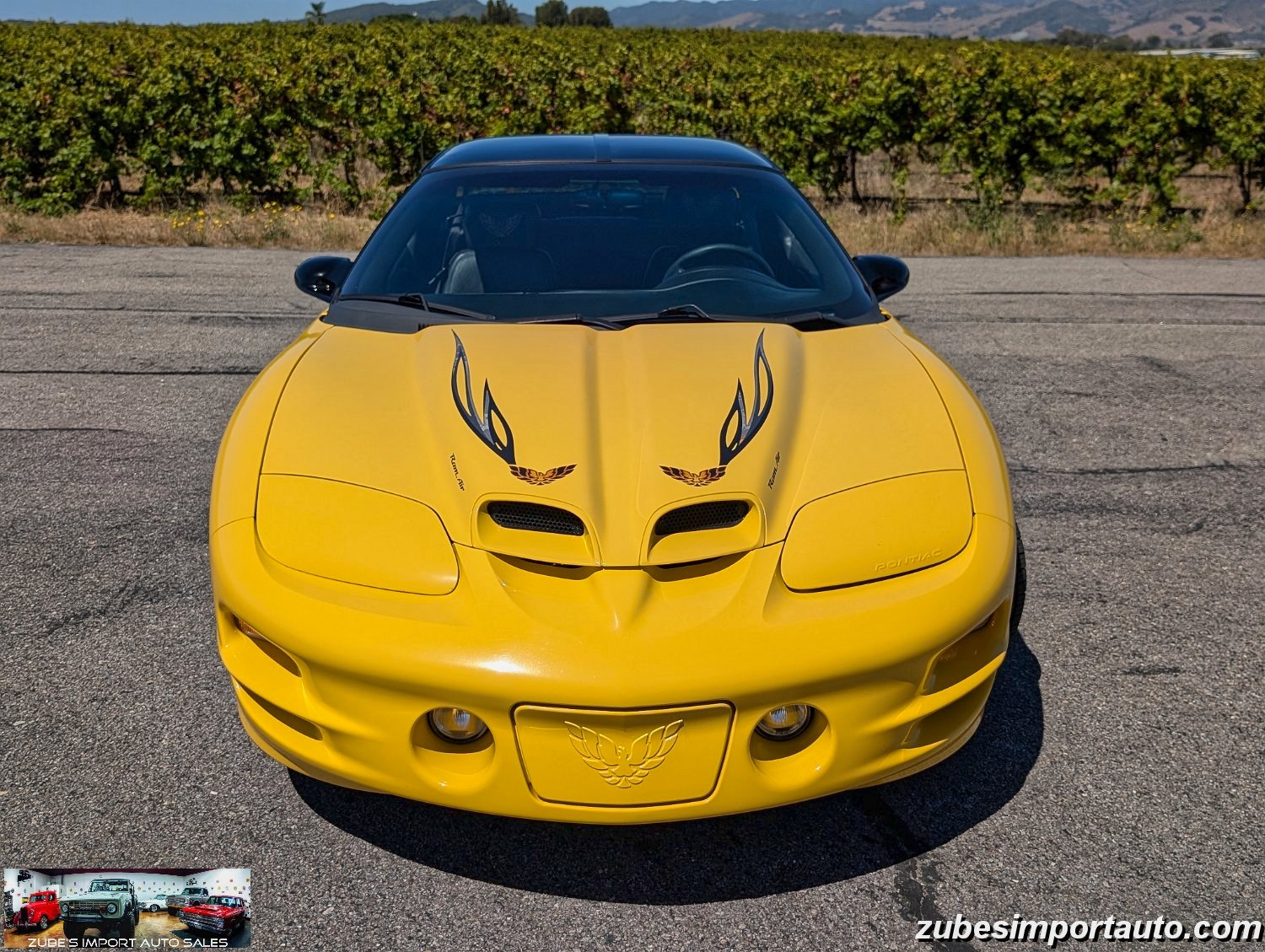 2002 Pontiac Firebird Trans Am - Photo 24