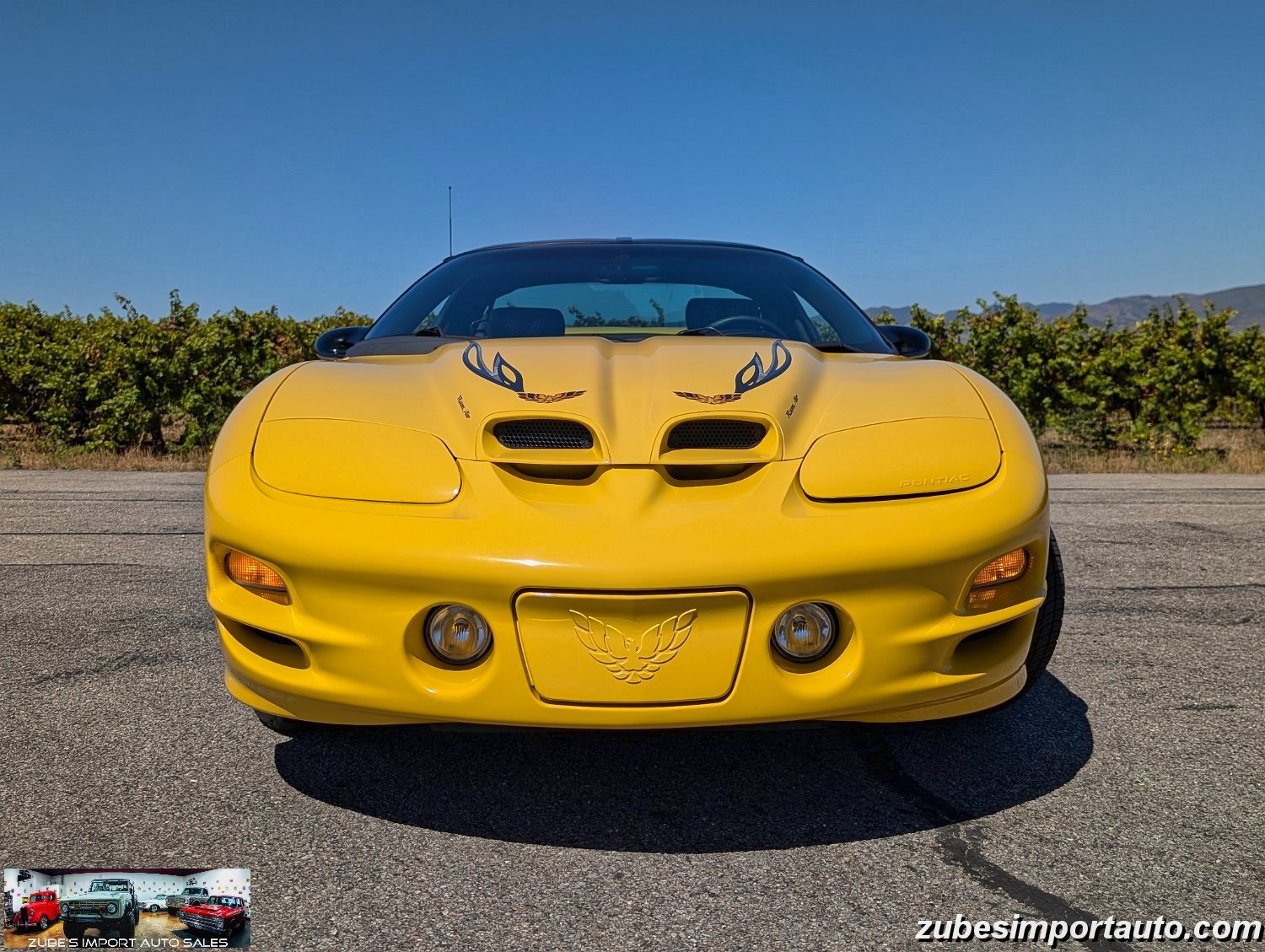 2002 Pontiac Firebird Trans Am - Photo 23
