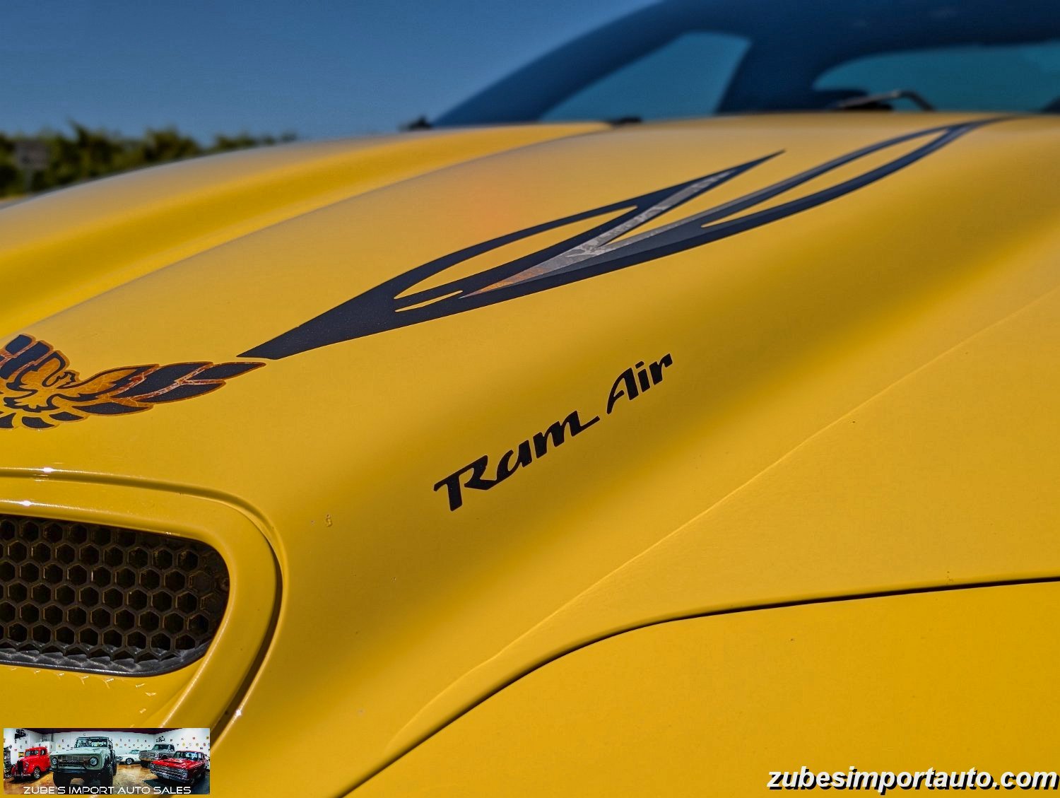 2002 Pontiac Firebird Trans Am - Photo 43