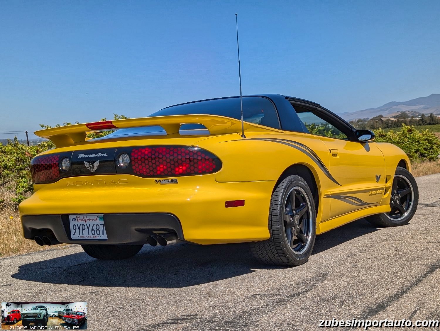 2002 Pontiac Firebird Trans Am - Photo 12