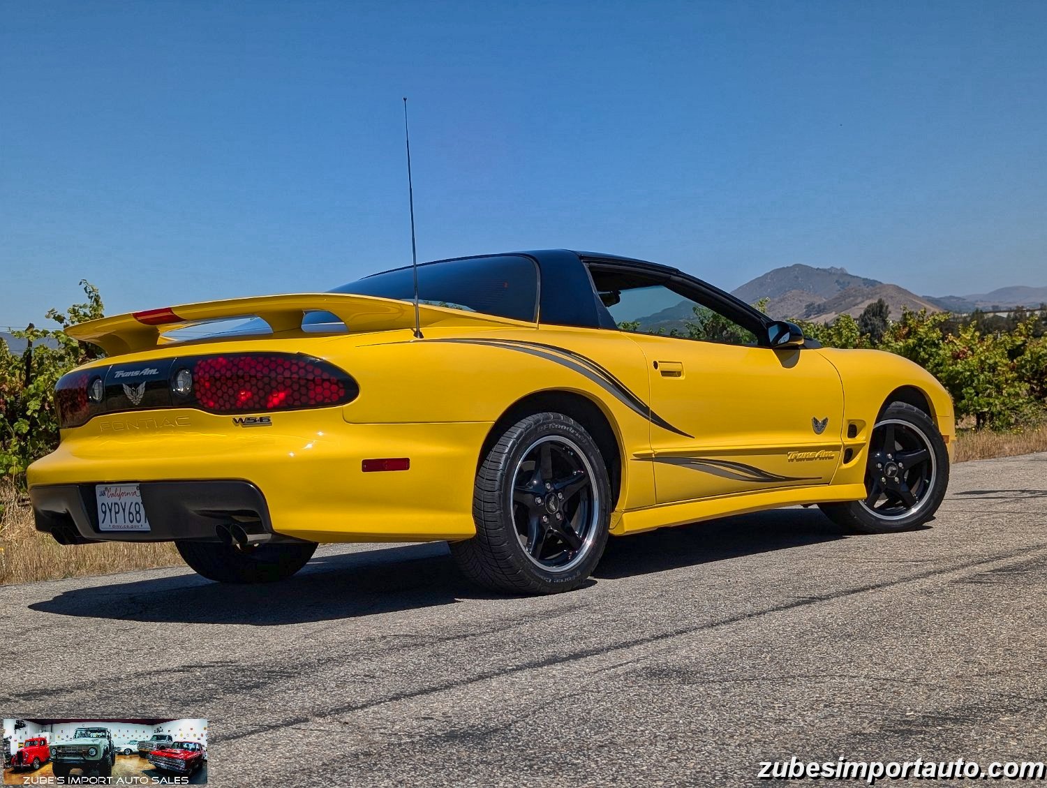 2002 Pontiac Firebird Trans Am - Photo 11