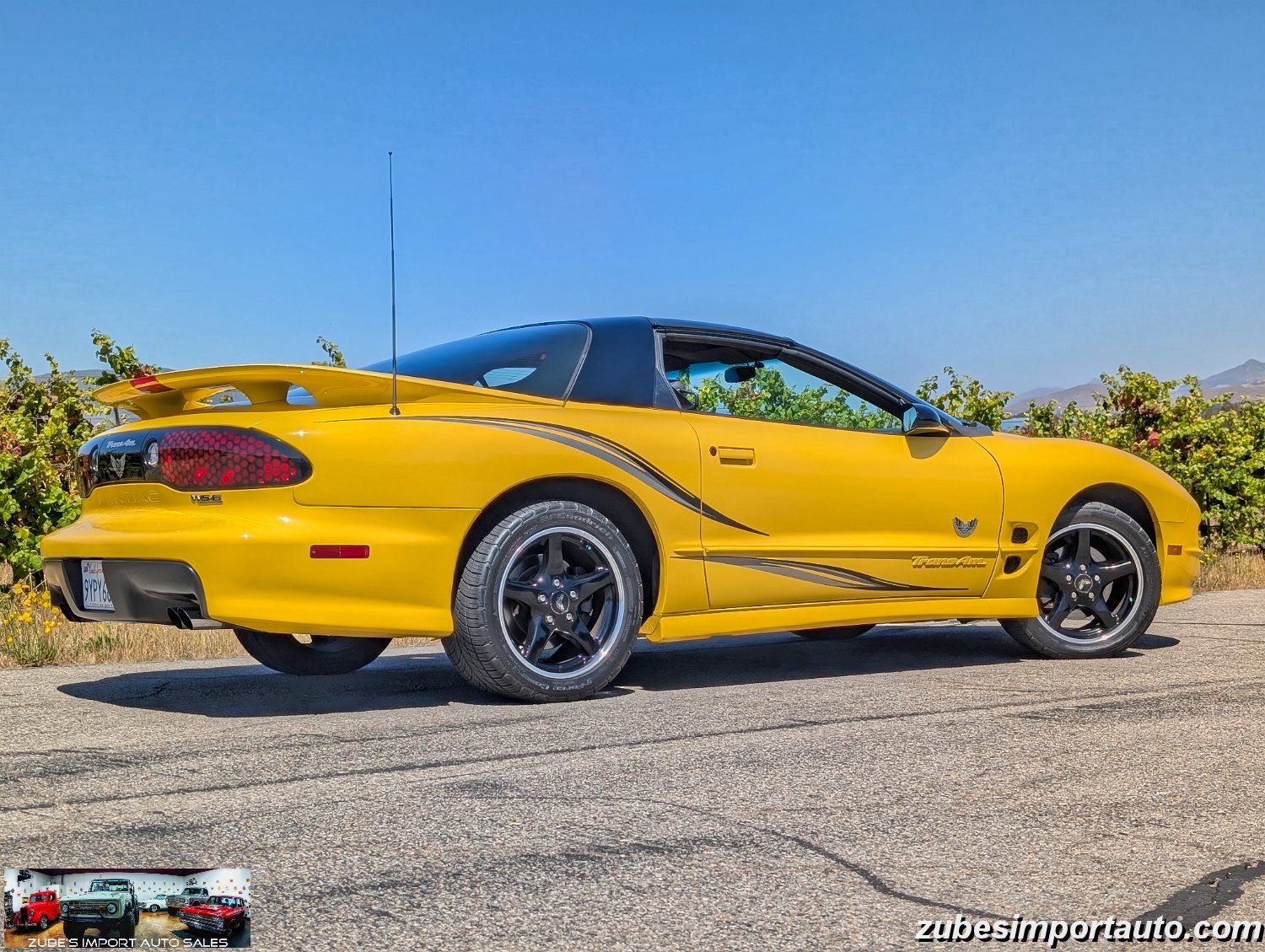 2002 Pontiac Firebird Trans Am - Photo 10