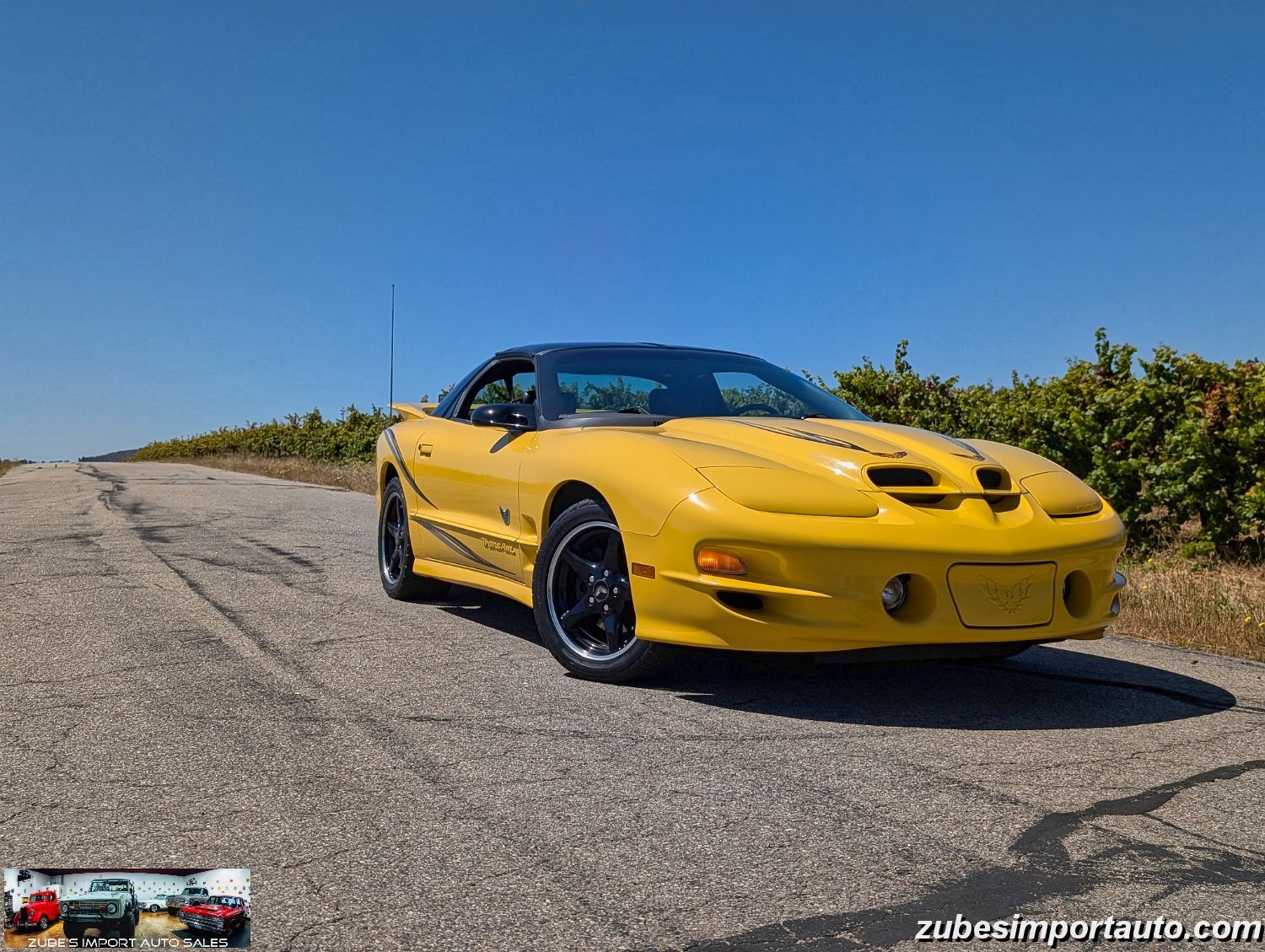 2002 Pontiac Firebird Trans Am - Photo 5