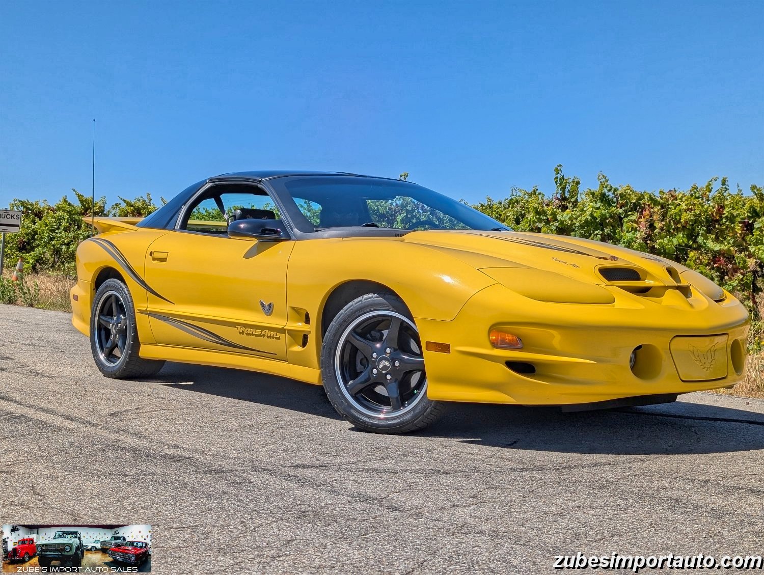 2002 Pontiac Firebird Trans Am - Photo 6
