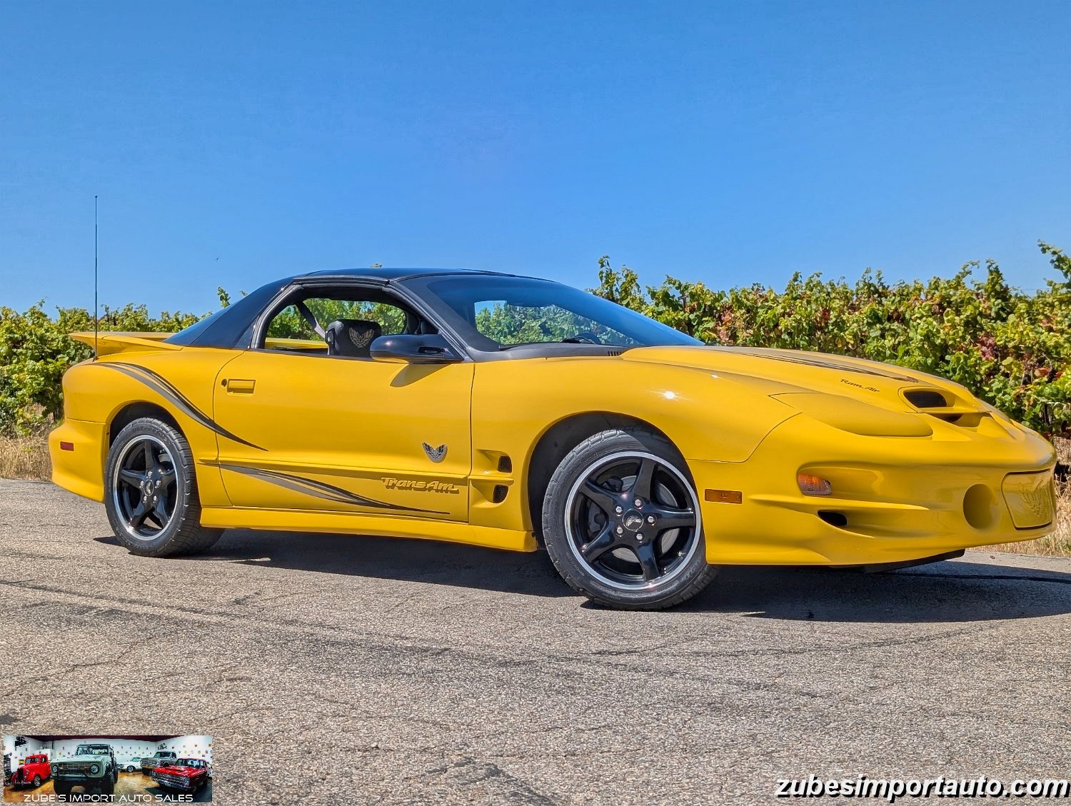 2002 Pontiac Firebird Trans Am - Photo 7