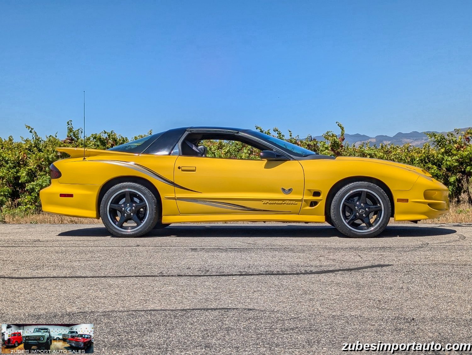 2002 Pontiac Firebird Trans Am - Photo 8
