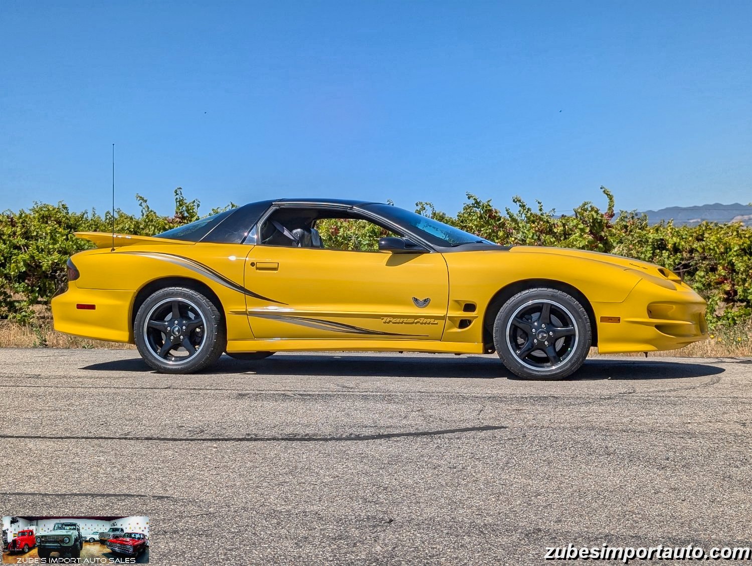 2002 Pontiac Firebird Trans Am - Photo 9