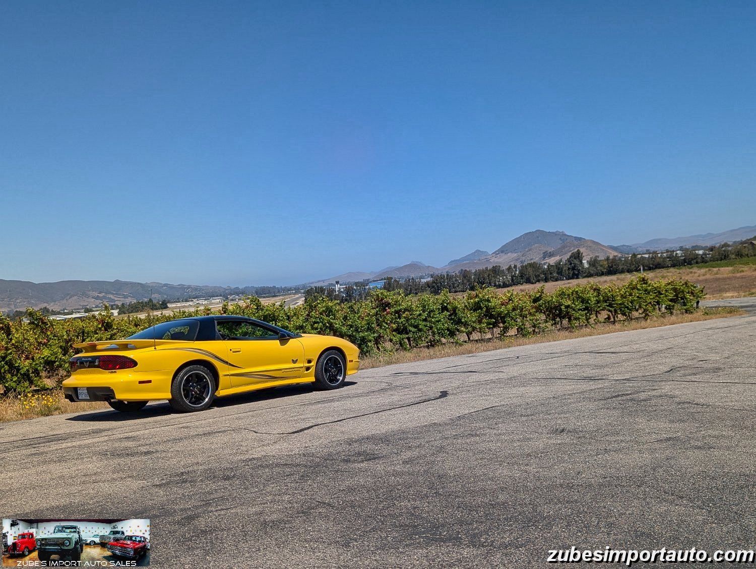 2002 Pontiac Firebird Trans Am - Photo 37