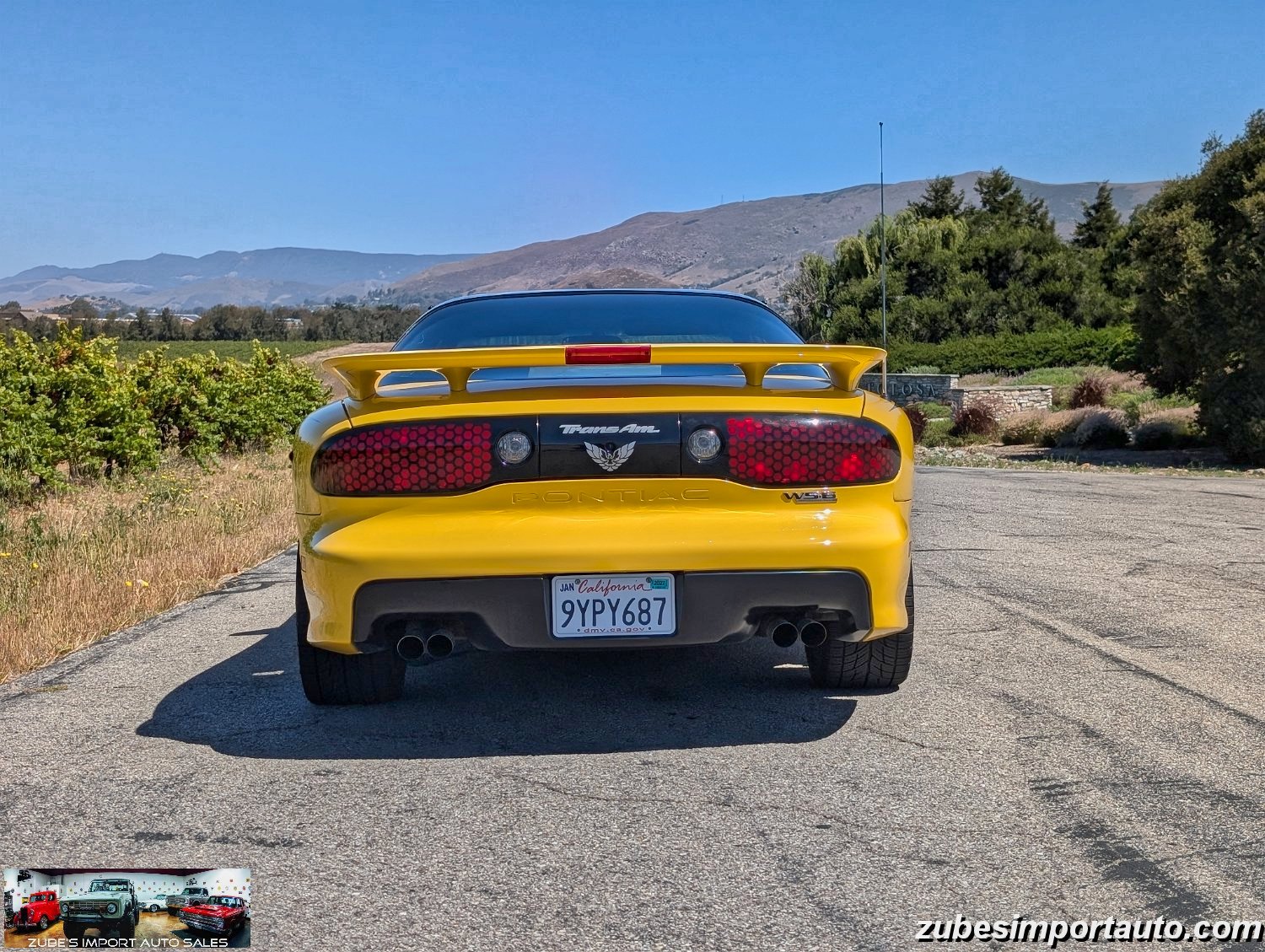 2002 Pontiac Firebird Trans Am - Photo 25