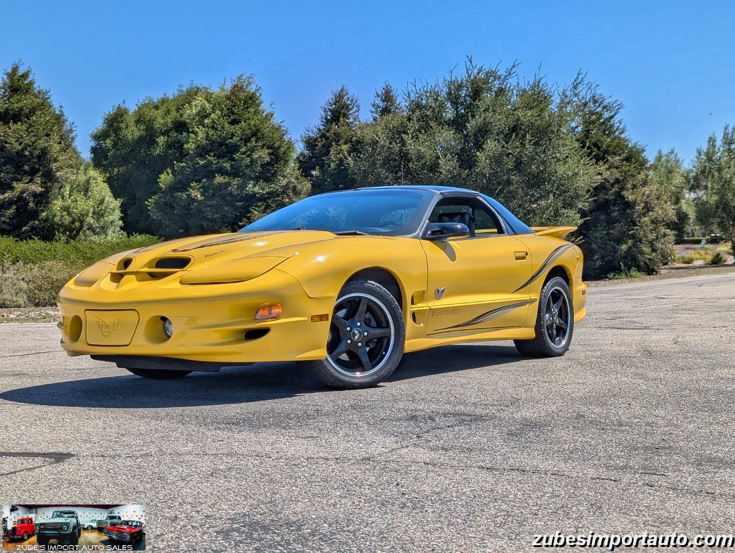2002 Pontiac Firebird Trans Am - Photo 17