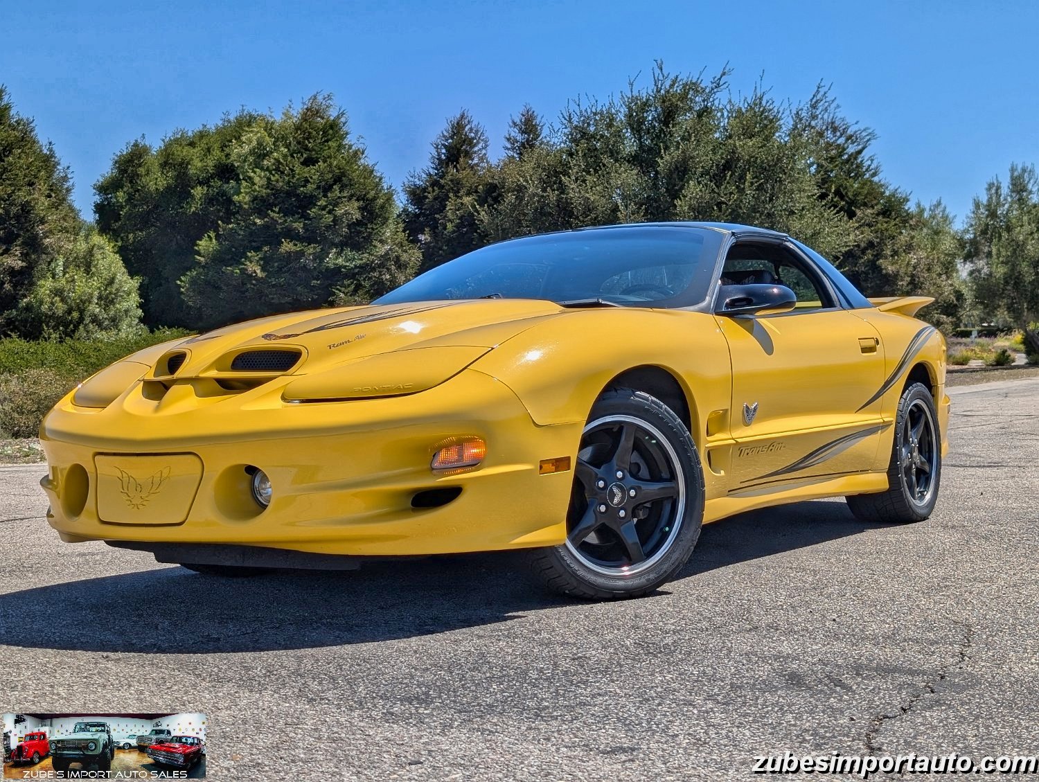 2002 Pontiac Firebird Trans Am - Photo 16