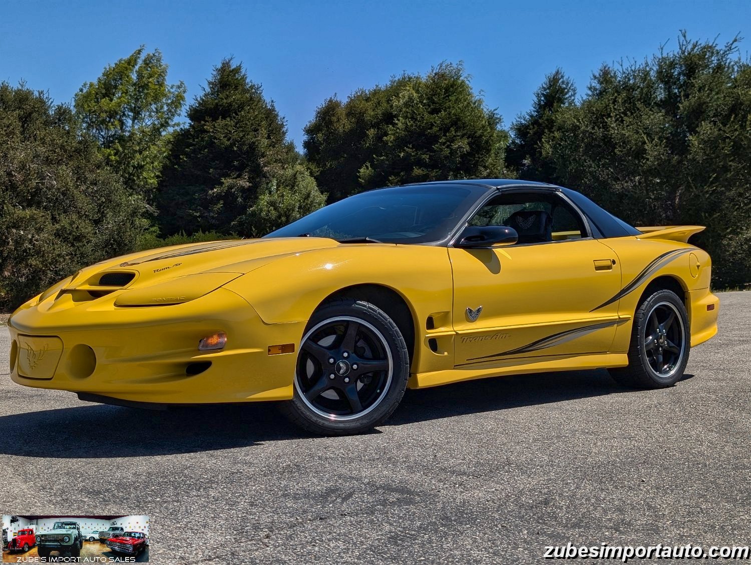 2002 Pontiac Firebird Trans Am - Photo 15