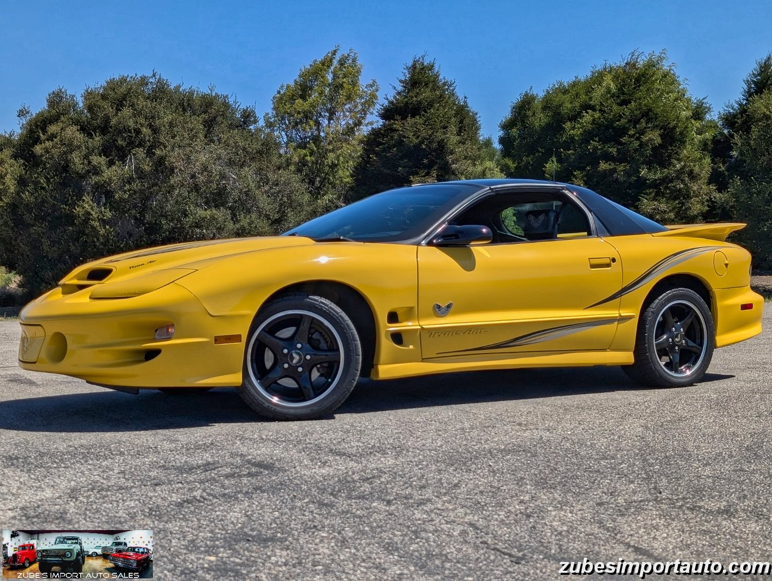 2002 Pontiac Firebird Trans Am - Photo 14