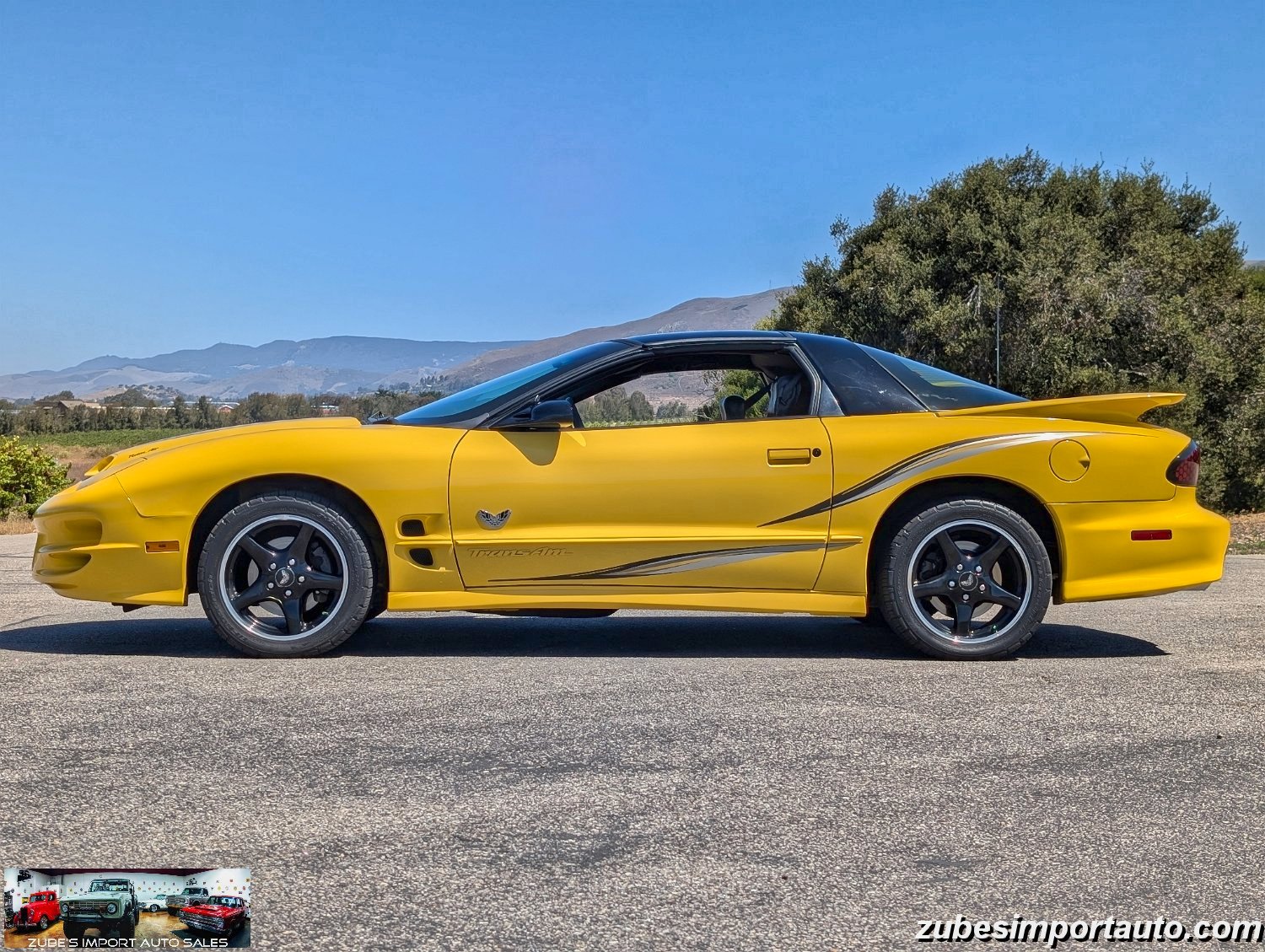 2002 Pontiac Firebird Trans Am - Photo 22