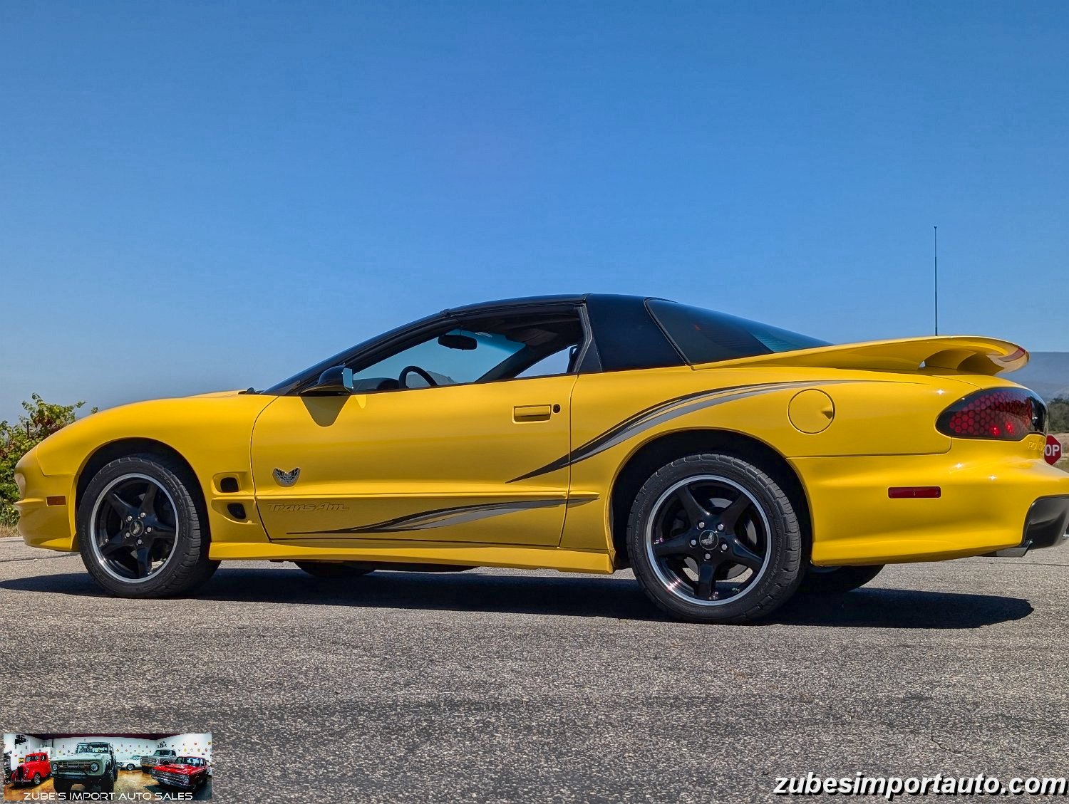2002 Pontiac Firebird Trans Am - Photo 20