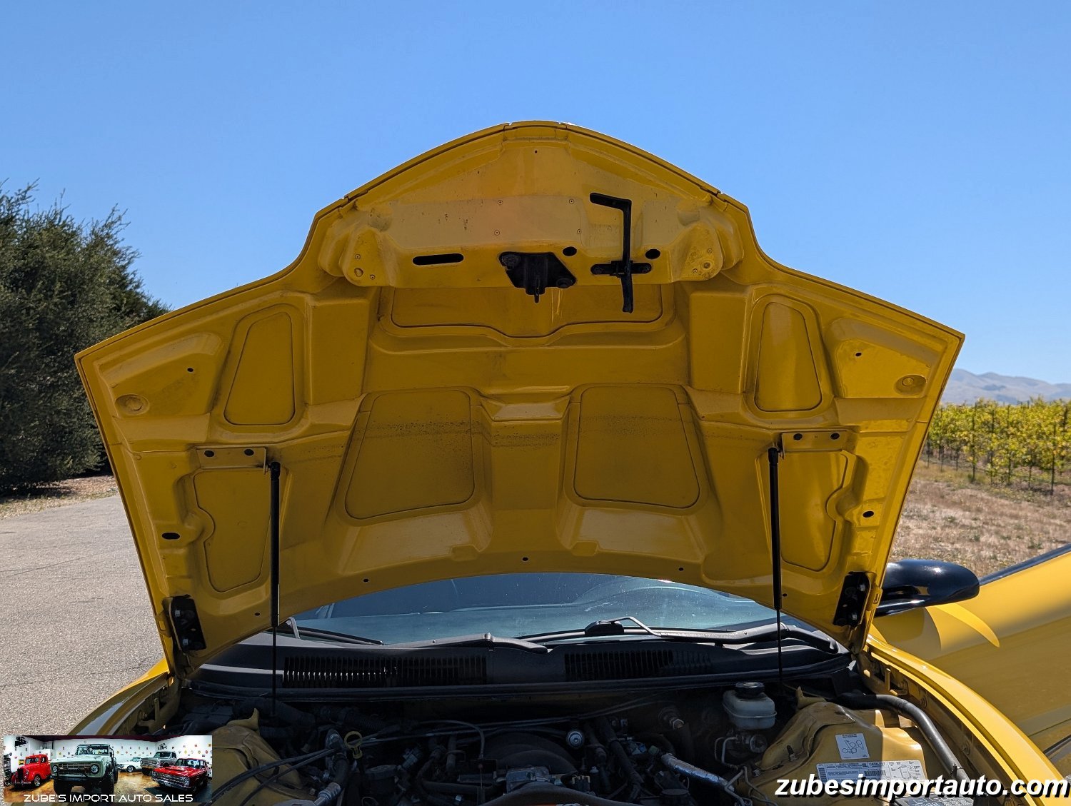 2002 Pontiac Firebird Trans Am - Photo 49