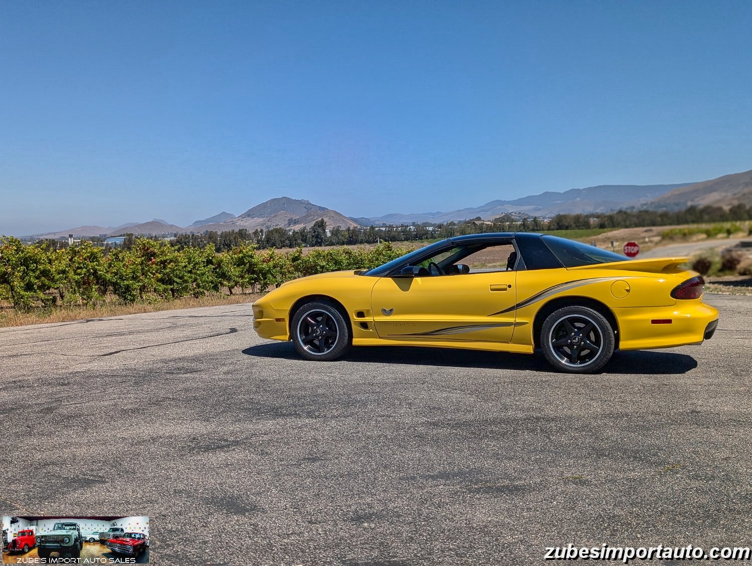 2002 Pontiac Firebird Trans Am - Photo 39