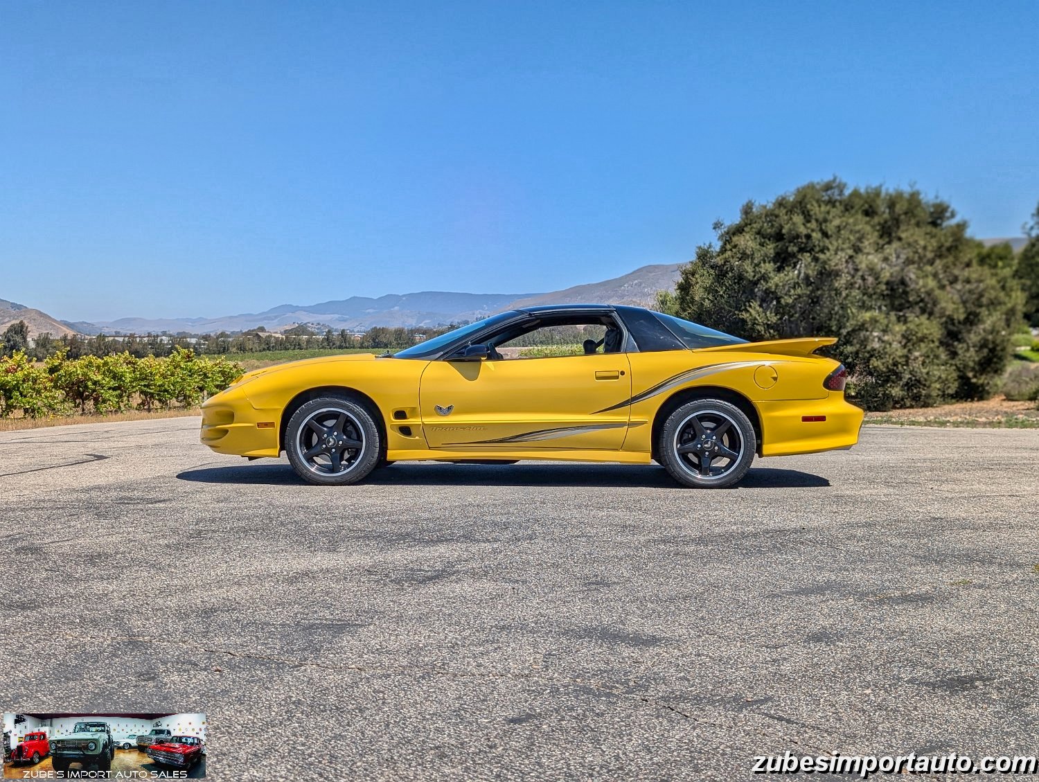2002 Pontiac Firebird Trans Am - Photo 40