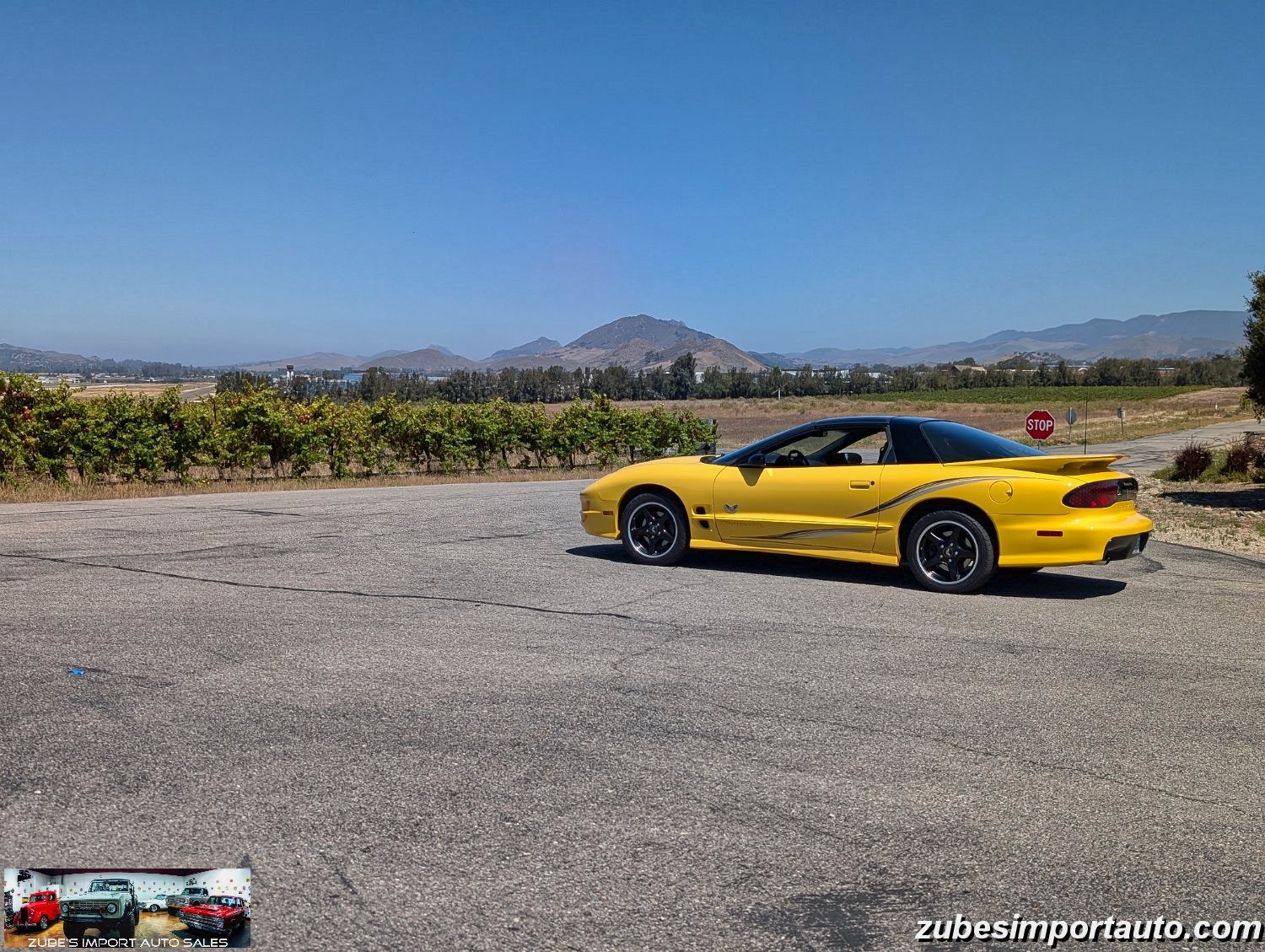 2002 Pontiac Firebird Trans Am - Photo 38