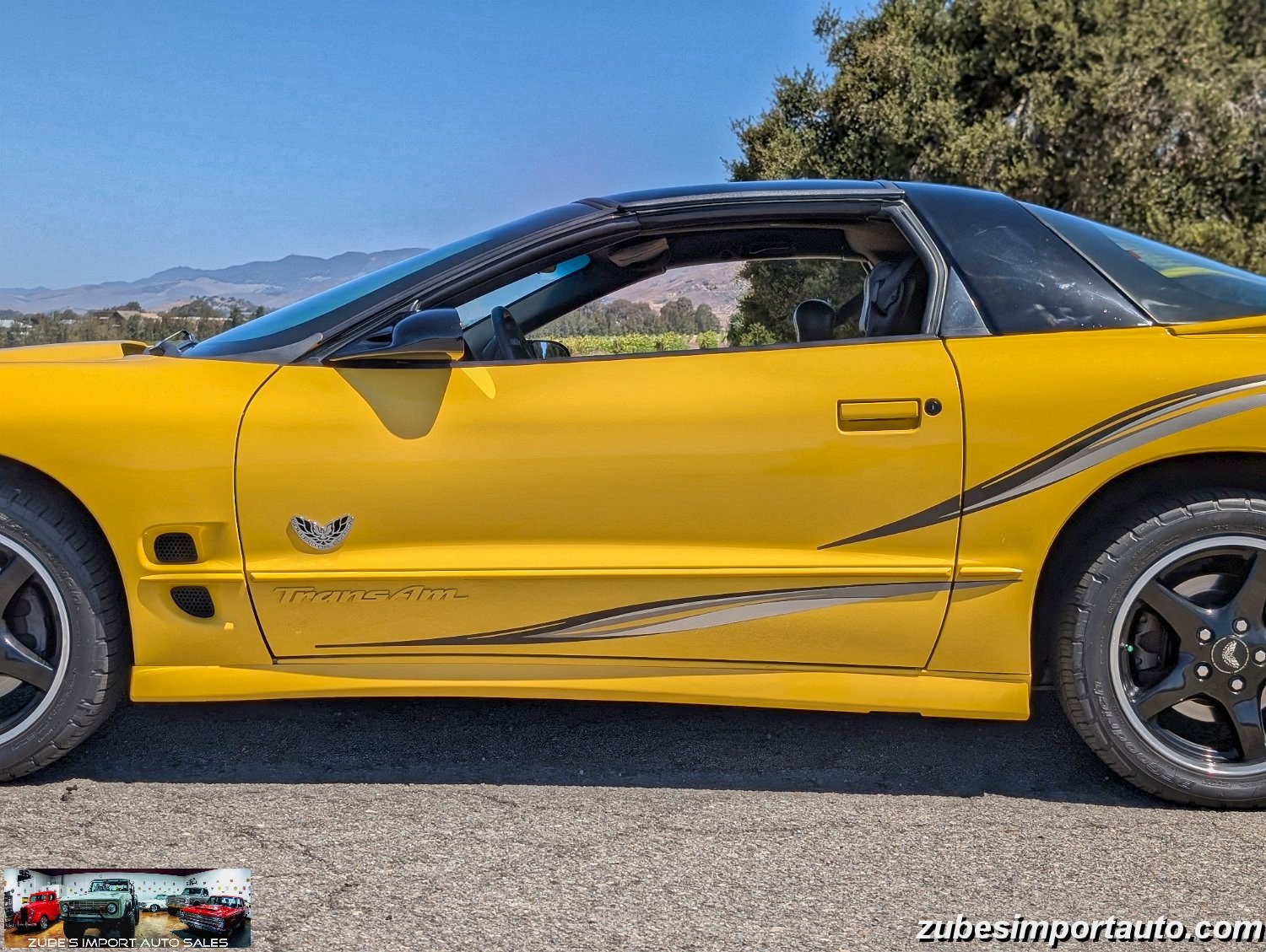 2002 Pontiac Firebird Trans Am - Photo 31