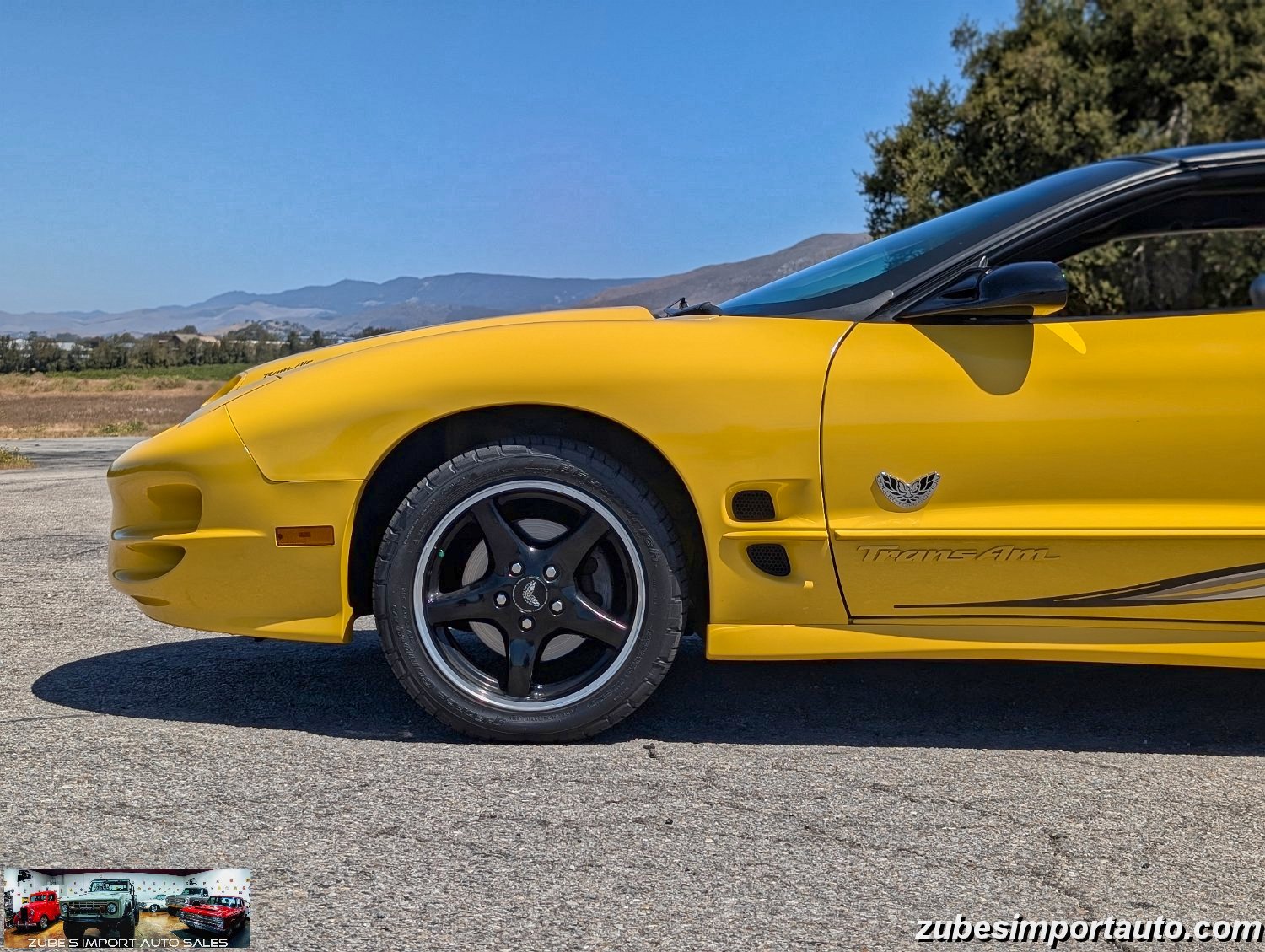 2002 Pontiac Firebird Trans Am - Photo 30