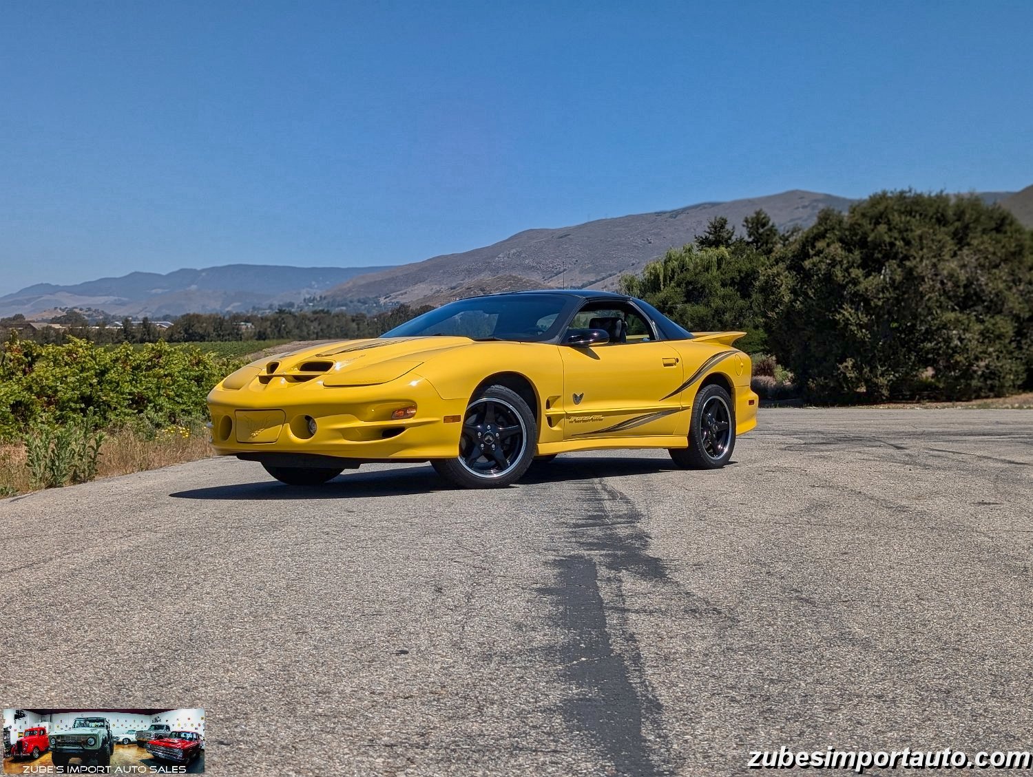 2002 Pontiac Firebird Trans Am - Photo 35